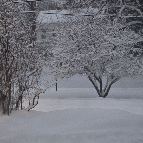 Meet your Posher, Eccentric Annie - Picture 5 of 8